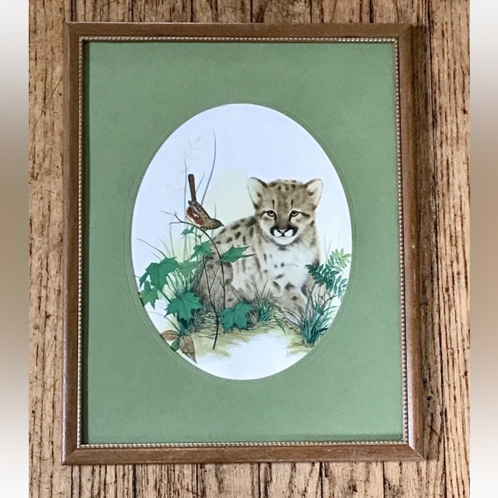 Vintage F Massa Cougar Cub Framed Print Wildlife Cute Man Cave Baby Animal